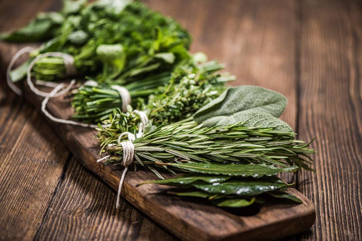 PROIZVOĐAČ I PRERAĐIVAČ LJEKOVITOG I AROMATIČNOG BILJA