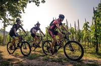 Biciklistička ruta 4