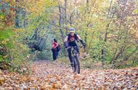 Biciklistička ruta 1