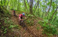 Biciklistička ruta 1